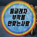 둥글레차 효과와 효능
