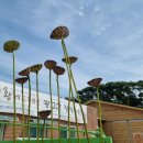 황제농원 이미지