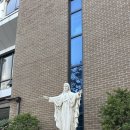 (주)이마트 둔산점 | 이마트 쓱데이 1+1 50% 반값 할인 / 대전 성인 취미...라식 수술 후 안구 건조 후기 / 컵누들 로제맛