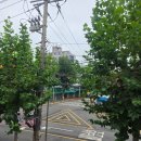 킷사고구마 (Kissa Koguma) | 문래동 골목 속 작은 일본, 킷사고구마 카페에서 느껴보는 레트로 감성 ☕🌸