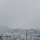 대호주유소 이미지