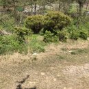 정주농장 이미지