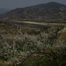 지리산 매화네 식품