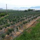 덕경공인중개사사무소 이미지