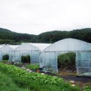 무성농장 이미지