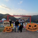 사계절목장 이미지