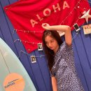 혜리플라워 - 영등포구 영등포로 225 | 혜리플라워
