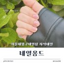 원당초등학교 | 서울대입구네일샵 자석네일 잘하는 네일옹드