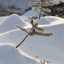 주식회사 대한
