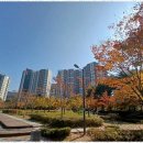 부동산쇼핑공인중개사사무소 이미지