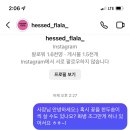 헤쎄드플라라