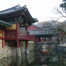 순천-59호 Daum카페