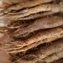 태백더덕직판장 이미지