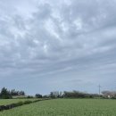 프로퍼밀도 이미지