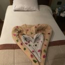 웰리드 | 이집트 나일강 크루즈 타고 룩소르 관광지 관람 후기!