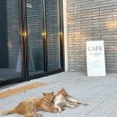 오앤드프 호텔 | 여수호텔 오앤드프, 수영장부터 전객실 오션뷰 솔직후기