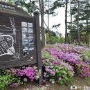 봄·여름·가을 코스 이미지