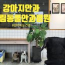 유림-1045 이미지