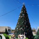 한강시민공원 편의점 쉼터 옆 | 대구 숲속책쉼터 예약 방법 및 햇살채 이용 꿀팁