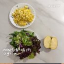 삼송식품 | [공지] 4끼 먹으면서 1달에 체지방 5kg 빠지는 삼송 크로스핏 손오공 식단