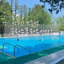 수영중앙어린이집 | 아이들이랑 경기 광주 퇴촌 금원수목원수영장 방문 후기(예약, 샤워실, 매점 등)