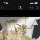 네일작,은짐 네이버블로그