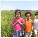 남포농장 이미지