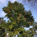 가나농장 이미지