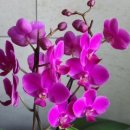 밥이면&밥마다 이미지