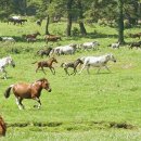 재현축산 이미지