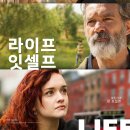 잇셀프(itself) 이미지