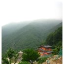 광양참숯불구이 이미지