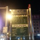 외대갈매기 이미지