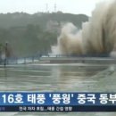 동부 비상-16호 헤럴드경제