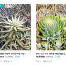 여섯시내족발 이미지