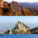 고잔고사거리 이미지