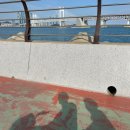 남천동 삼익비치 301동 앞 자전거대여소 | 부산 여행 코스 추천 남천동 공영자전거 무료대여소 광안리 자전거 무료대여