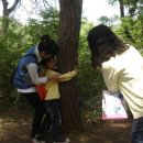 일동초병설유치원 이미지