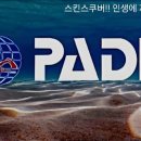 필리핀 사방비치 Aura다이브 리조트 5박7일 다이빙 후기