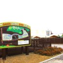 오수의견 국민여가캠핑장 이미지