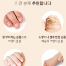 조아아로마