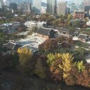 돌담추억 이미지