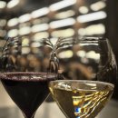 장한한우 | 연말 연초 모임장소 데이트 기념일 최적 강남 압구정 와인바 유유서울