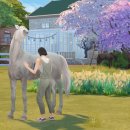 가영농장 이미지