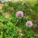 서천생태공원 이미지