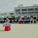 매천초등 이미지