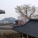 삼도다방