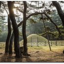 배동삼릉 이미지