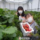 늘해랑농장 이미지