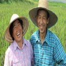 진만농장 네이버블로그